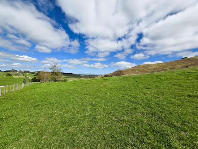 Morrison Road Dargaville_3