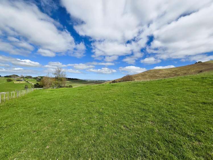 Morrison Road Dargaville_3