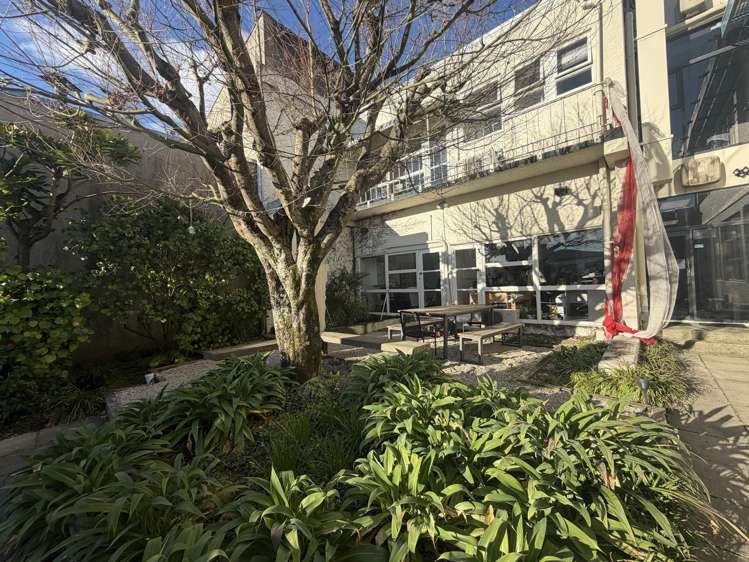 288 Trafalgar Street Nelson_6