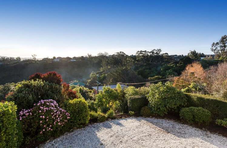 7 Heath Street Andersons Bay_14