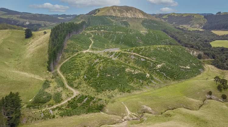 422 Glendhu Road Motunau_21