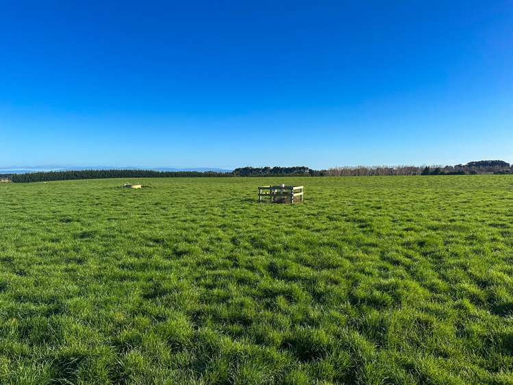 91 King Road Waianiwa_13