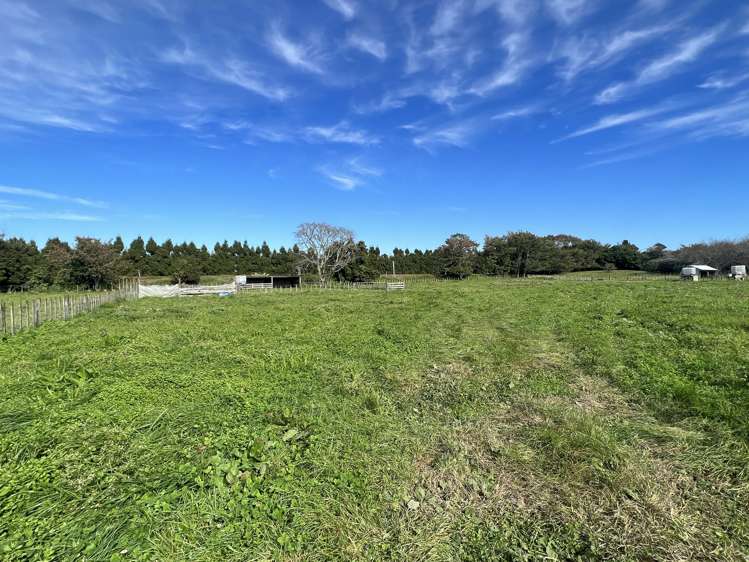 80 Bayly Street Waitara_8