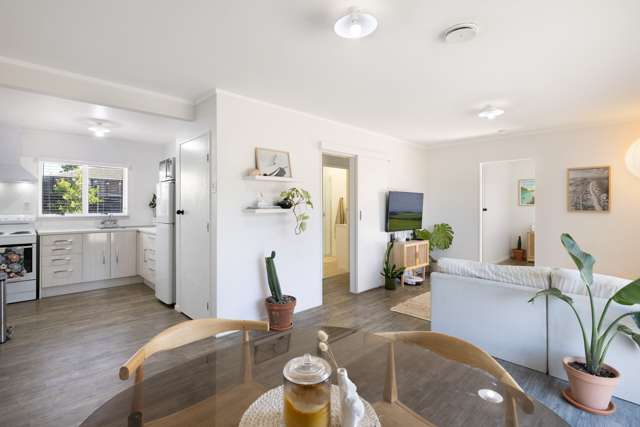1/3 Harris Street Te Puke_1