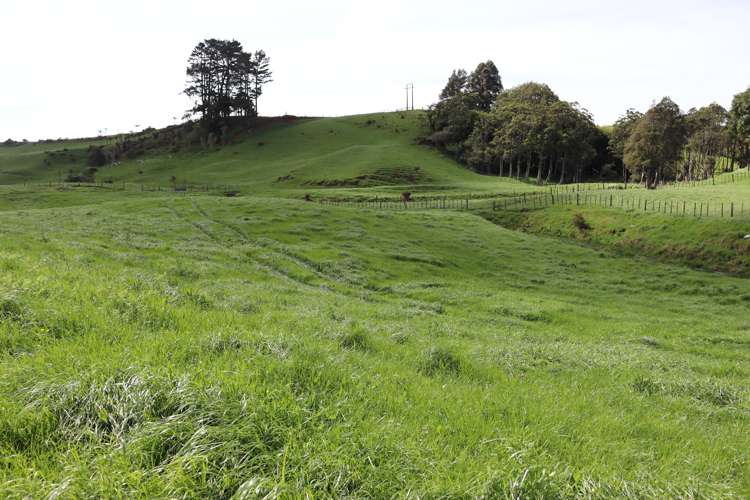 Lt2/310 Henwood Road Bell Block_18