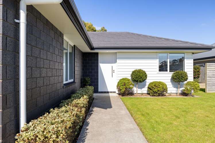 29 Monarch Drive Ashhurst_10