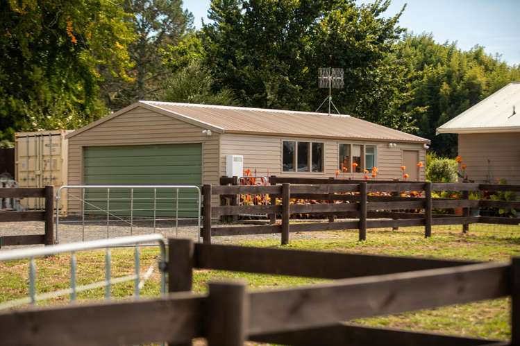 126 Willoughby Road Katikati_14