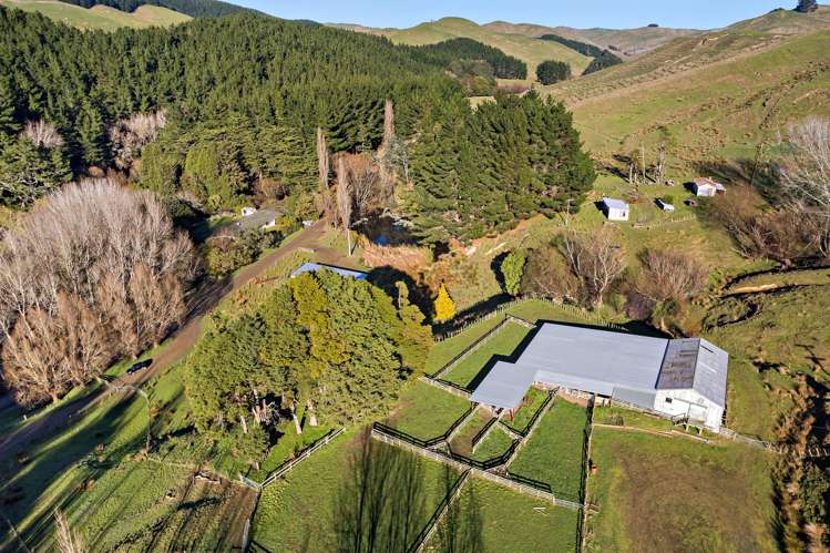 145 Mangarei Road Bideford_17