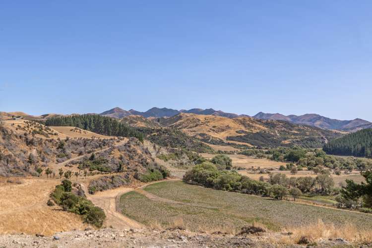 175 Mendip Road Cheviot_19