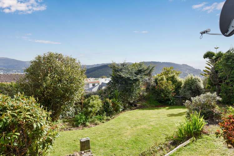 207 Larnach Road Waverley_32