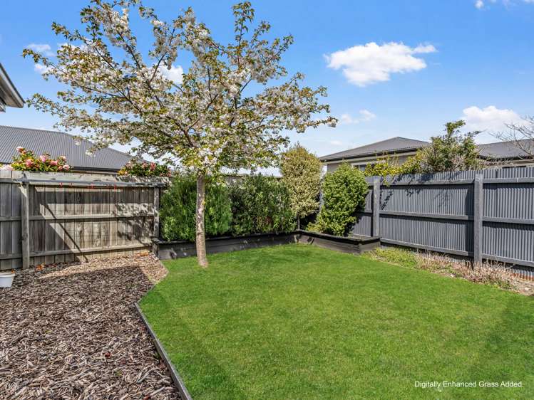 170 William Street Netherby_22