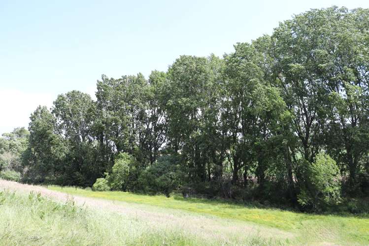 130 Maudes Road Oamaru_22