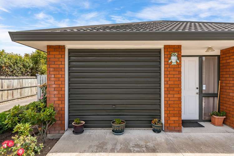 20 Rustic Lane Spreydon_21