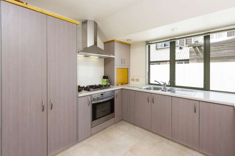 2 Vernon Grove Brown Owl_7