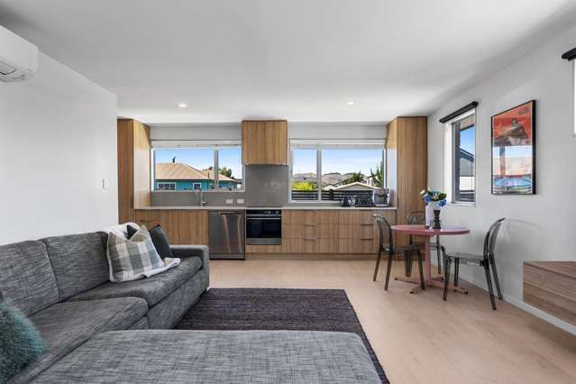 49 Bletsoe Avenue Spreydon_4