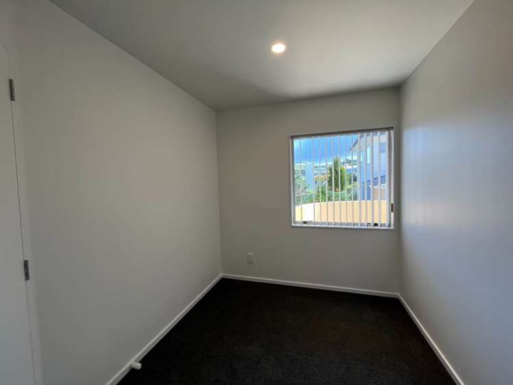 48 Palmgreen Court Stanmore Bay_11