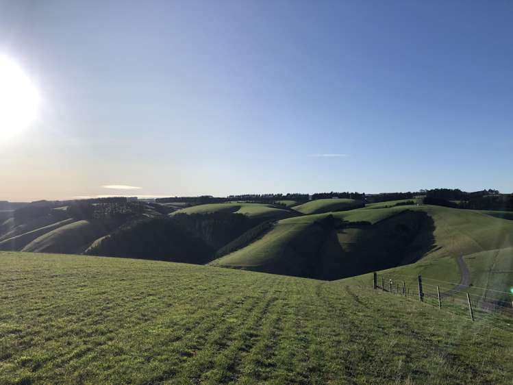 174 Mcculloch Road Balclutha_13