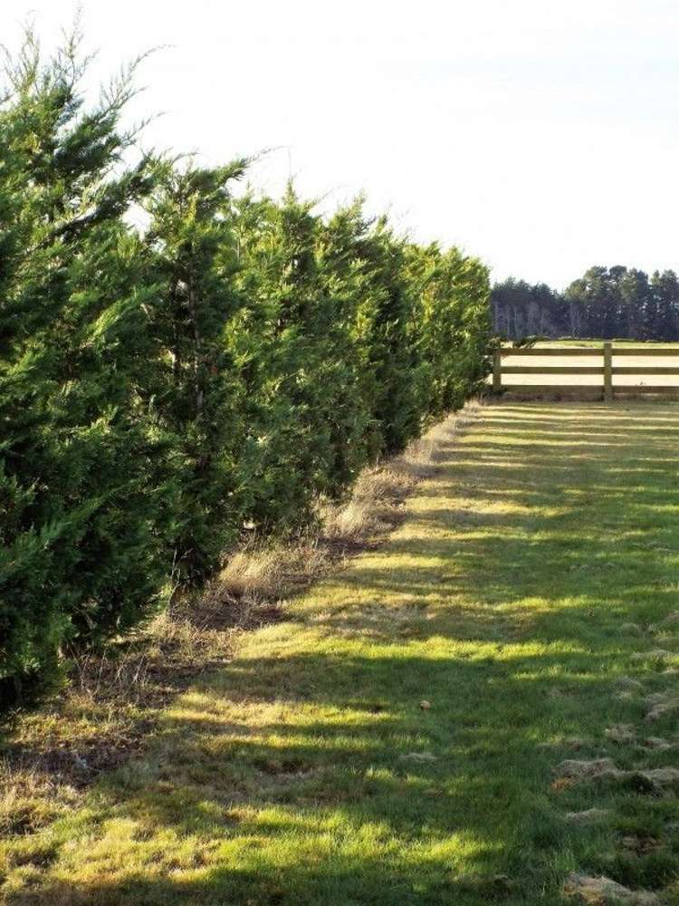 5/616 Halkett Road West Melton_9