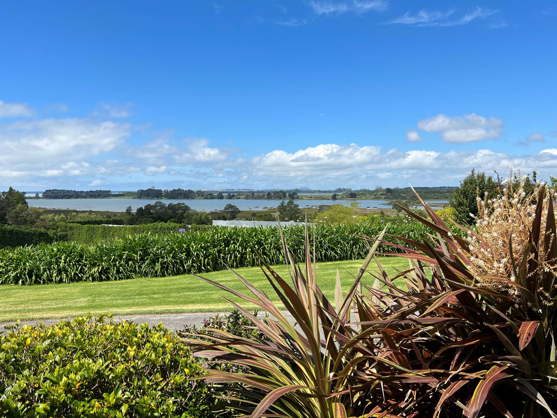 48C Tetley Road Katikati Western Bay Of Plenty Rural Property For Sale One Roof