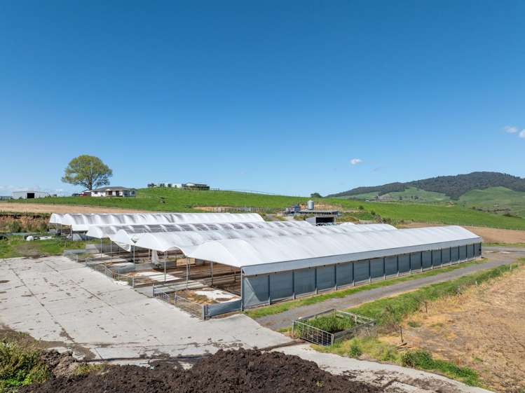 231A Morgan Road Matamata_13