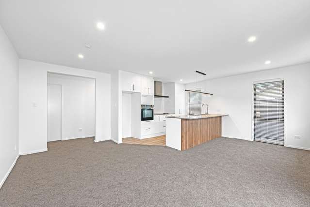 8b Appaloosa Way Rolleston_2