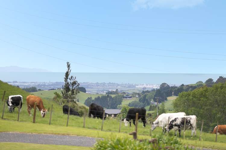 163 Rowe Road Ohauiti_15