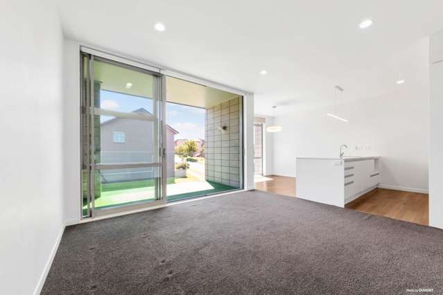 427 Murphys Road Flat Bush_3