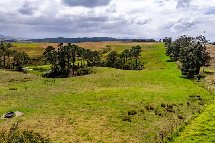 244 Waihue Road Dargaville_16