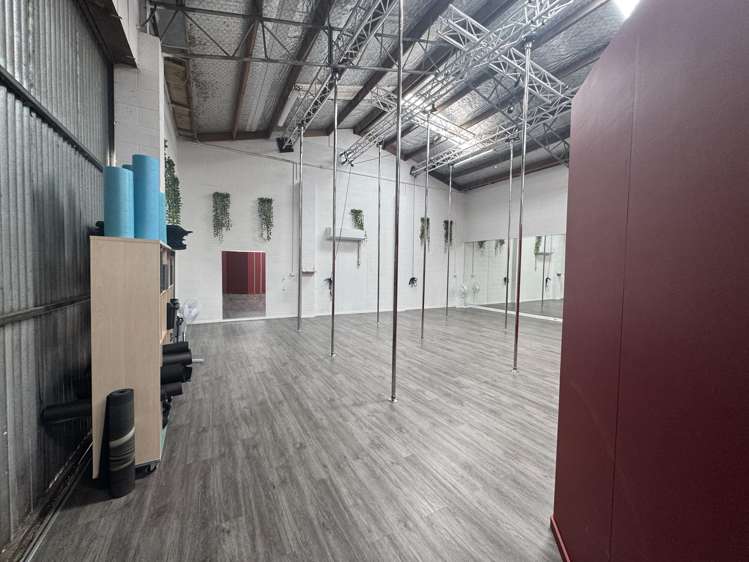 25 Carlyle Street Napier South_8