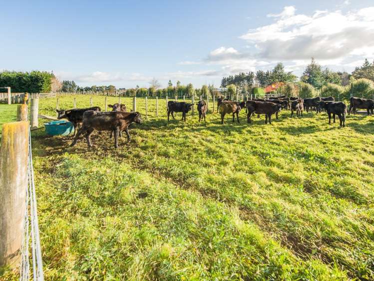 52 Union Line Fordell_11