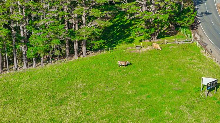 93 Mcentee Road Waitakere_40