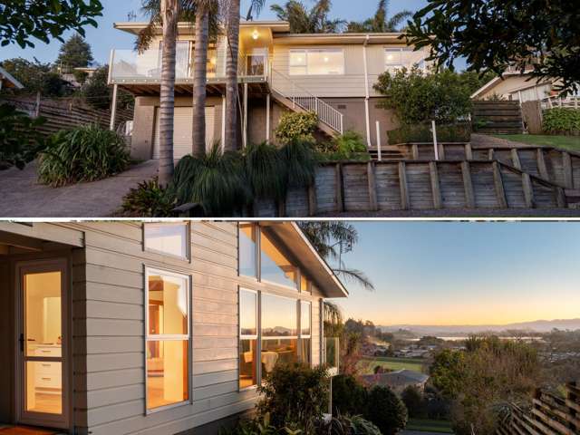 23 Carlton Street Bellevue_2