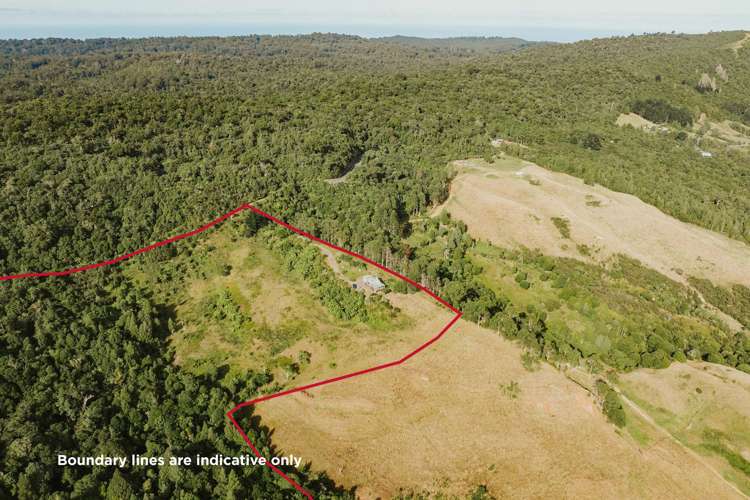 State Highway 12 Waimamaku_12