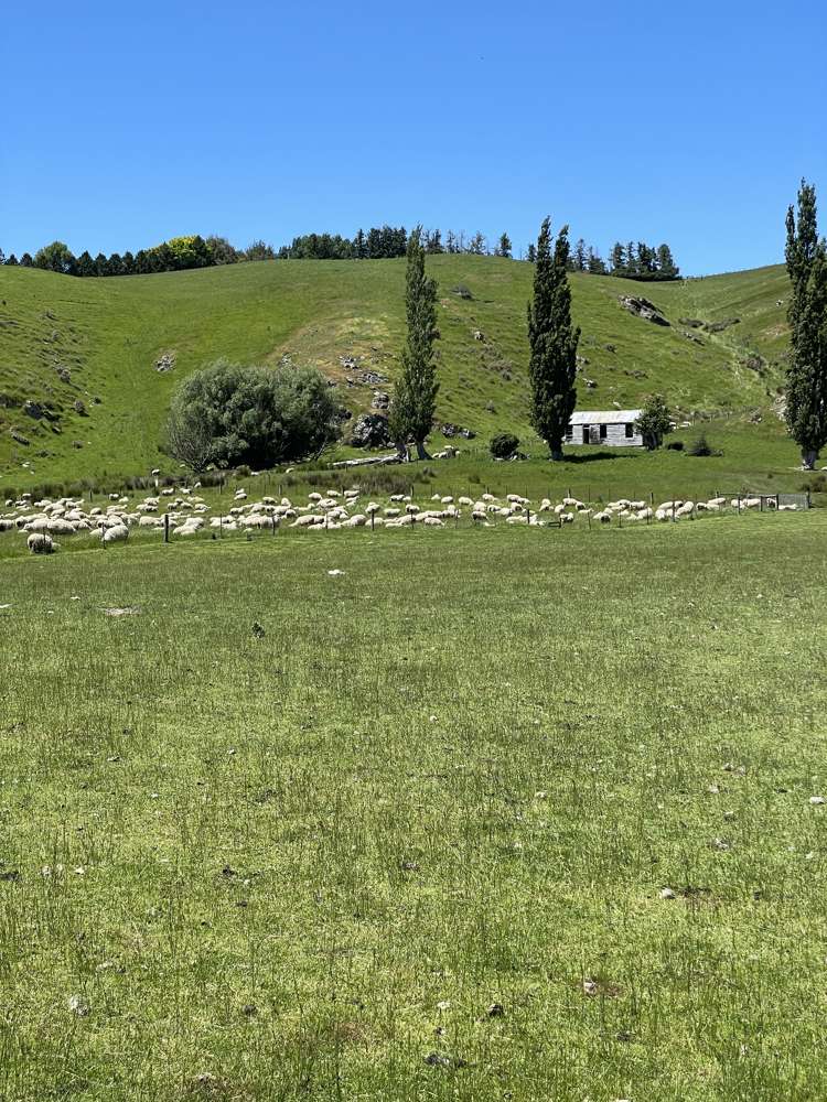 575 Tuapeka Flat Road Lawrence_16