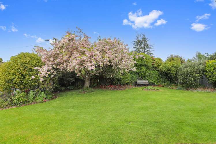 42 Hillcrest Avenue Hillcrest_14