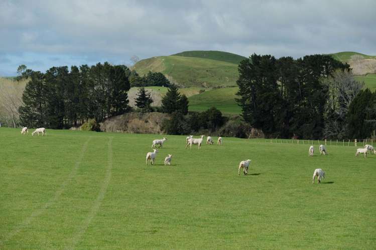 63 Hamilton Road Dannevirke_17