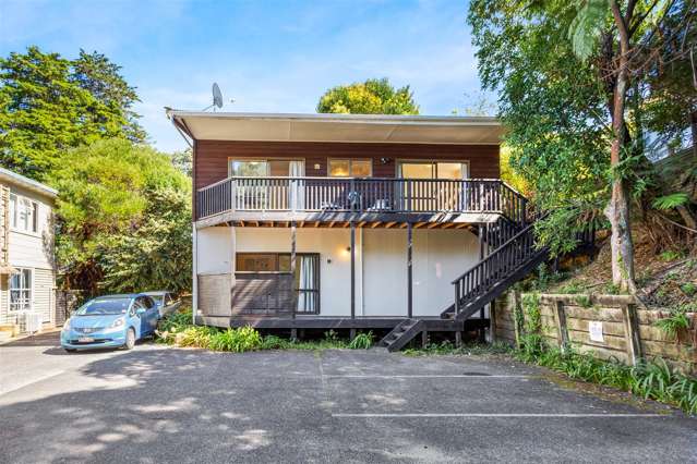 16a Shirley Road Grey Lynn_4