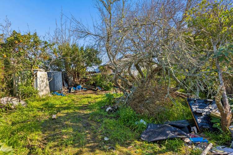 20 Holly Street Avondale_18