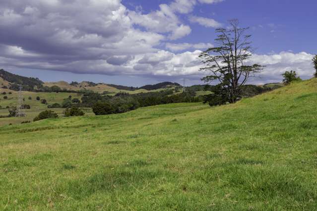 Kaipara Coast Highway Wellsford_4