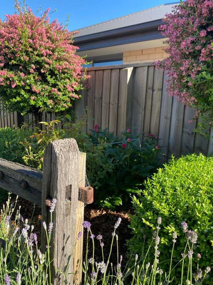 14 Huntingdon Drive Rangiora_20