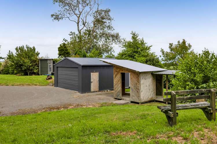 8 Weka Street Te Kiri_7