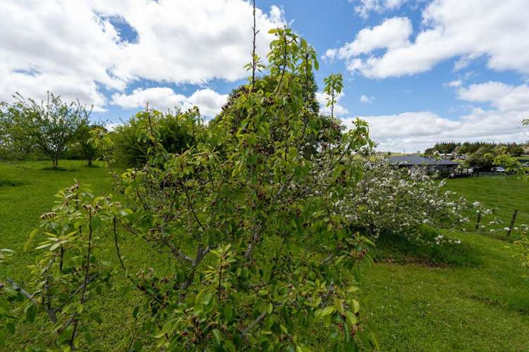 33 Signal Road Okaihau_22