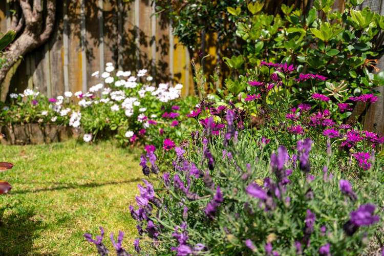 3a Waiohua Road Greenlane_17