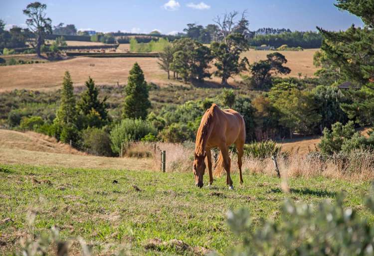 29 Whangapouri Road Karaka_16