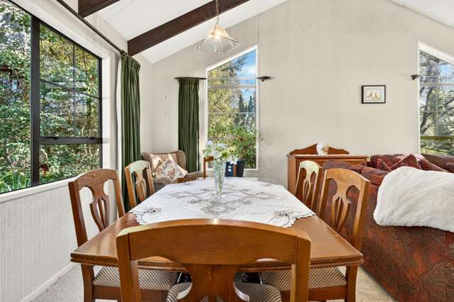 108 Homebush Road Glentunnel_4