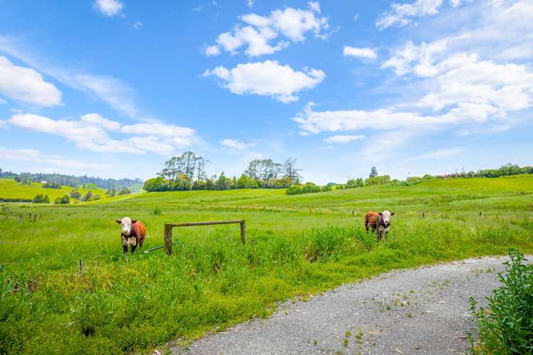 515 Kahikatea Flat Road Waitoki_19