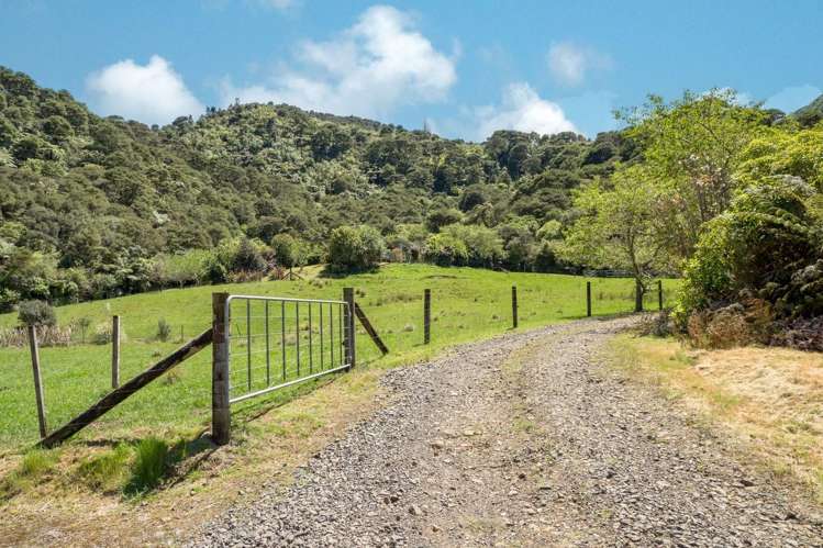 5 Tapu Creek Farms Tapu_31