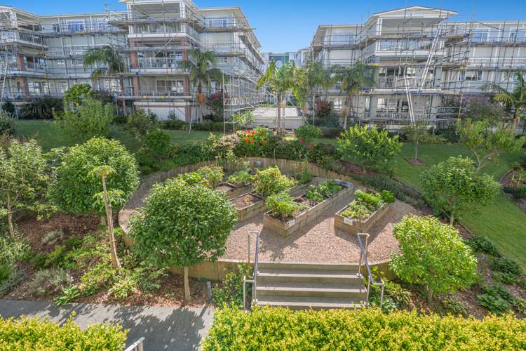 237 Hibiscus Drive Orewa_6