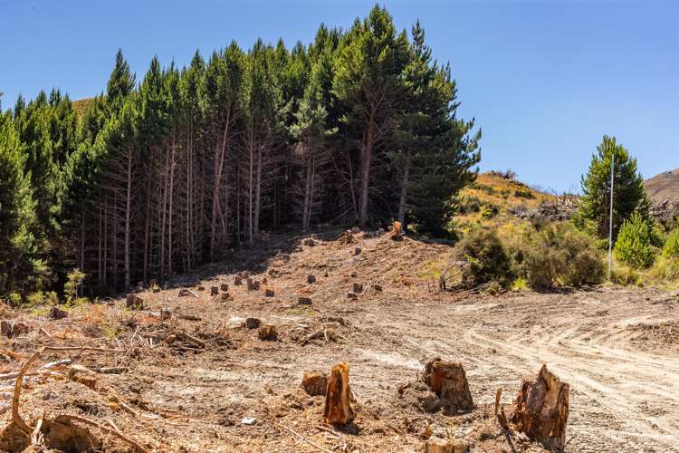 105 Alpine Retreat Road Ben Lomond_7