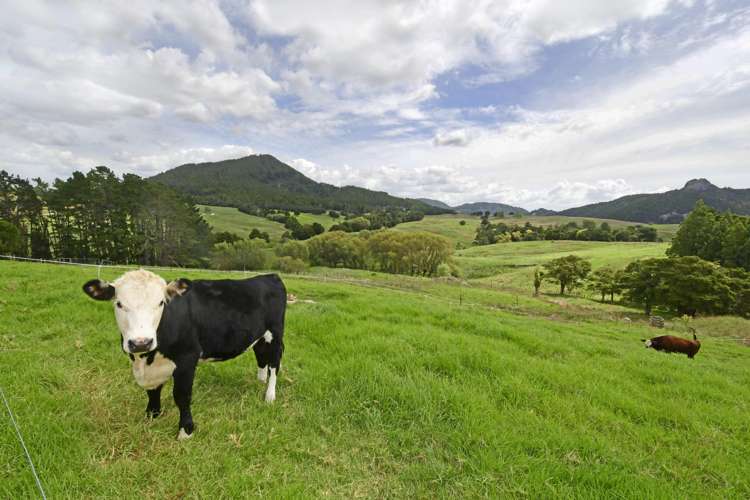 280c Baldrock Road Kaiwaka_10